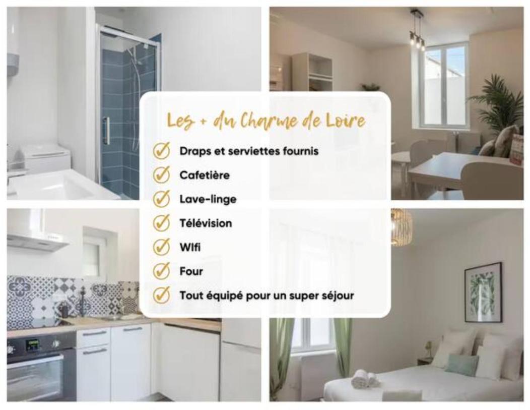 Saint-AyCharme De Loire A St Ay *T2*公寓 外观 照片